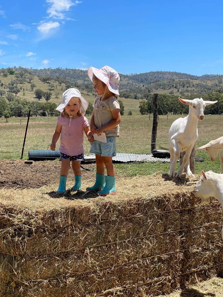 About The Dgsa Dairy Goat Society Of Australia Ltd 