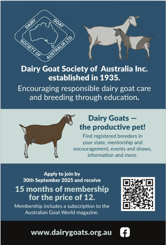 Member Offer